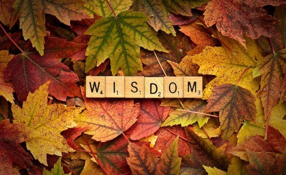 wisdom-autumn-onyonet-photo-studios