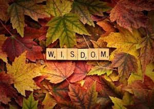 wisdom-autumn-onyonet-photo-studios